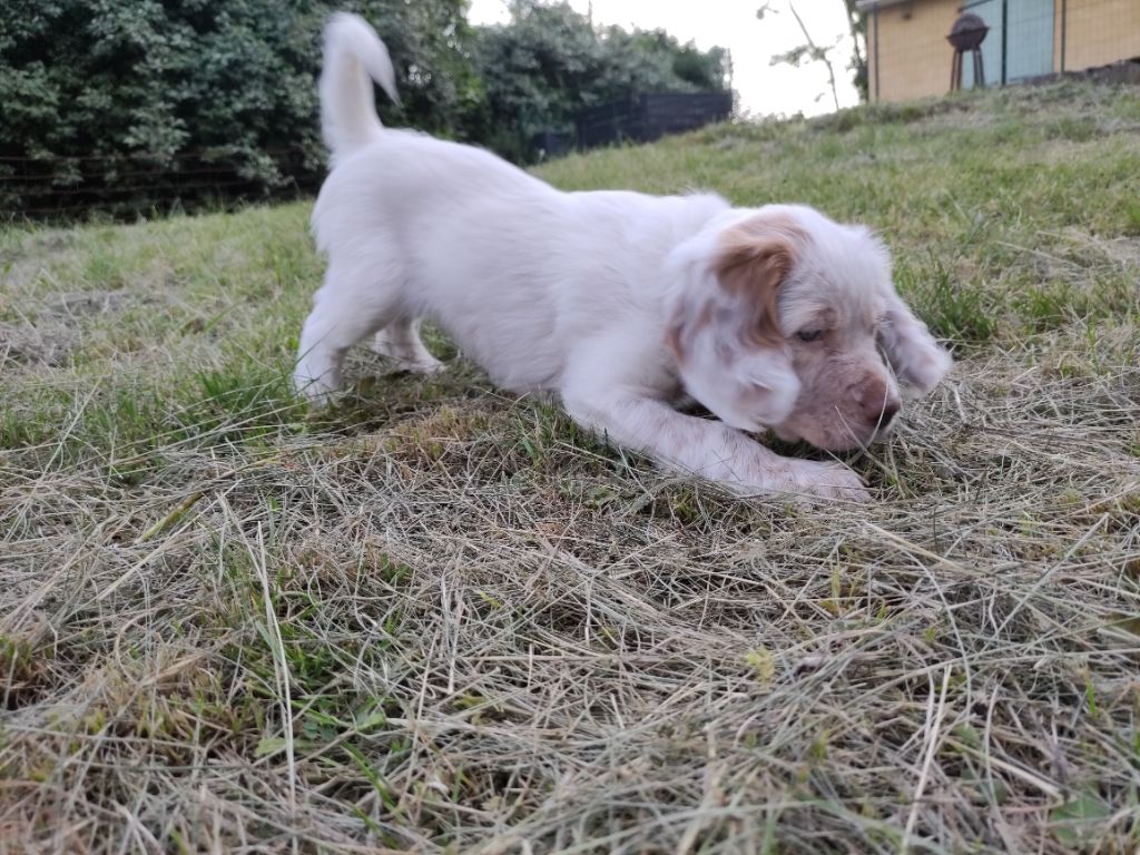 Ultra de Mont Jupiter